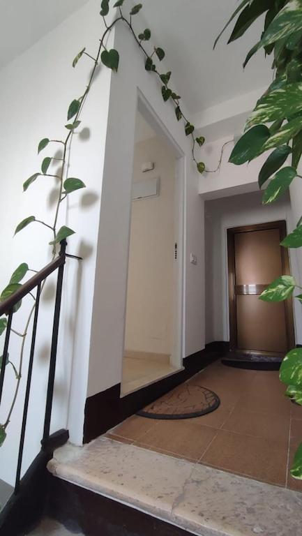 Penthouse In The Center Apartment Cadiz Bagian luar foto